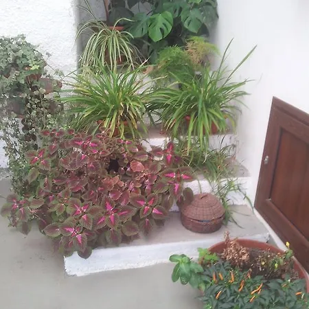 Bed and breakfast Da Mati 4*